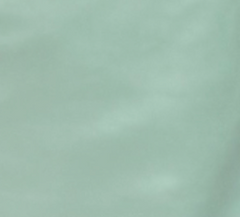Gabrielle Top - Mint